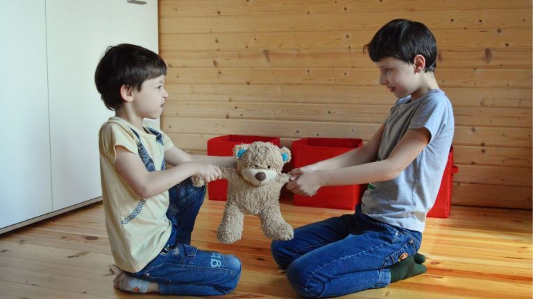 How to Deal with Sibling Rivalry Two young siblings fighting for a teddy bear