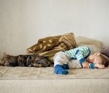 Child sleeping with cat