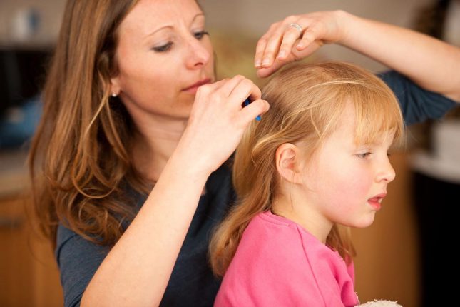 5 Treatments for How to Get Rid of Head Lice 5 ways of how to get rid of head lice