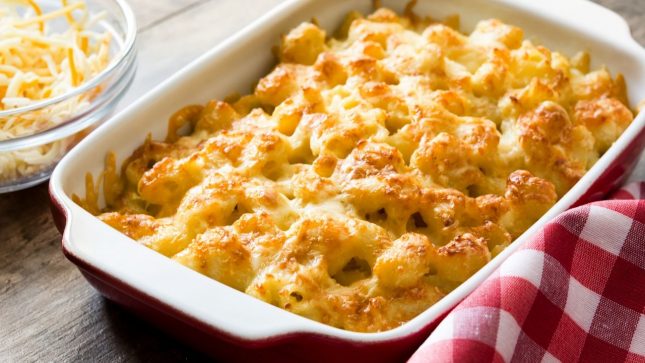Cheese and pasta bake Cheese and pasta bake