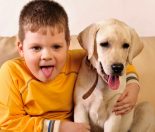 Dog safety around children