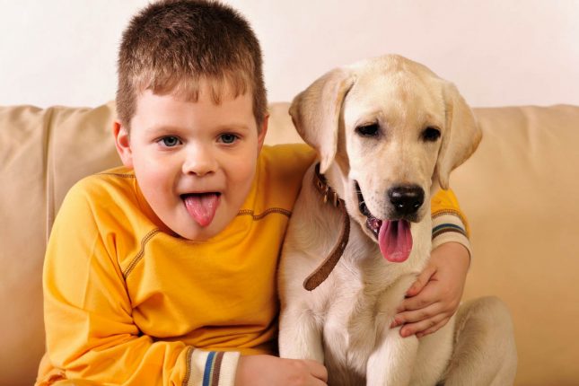 Dog safety around children