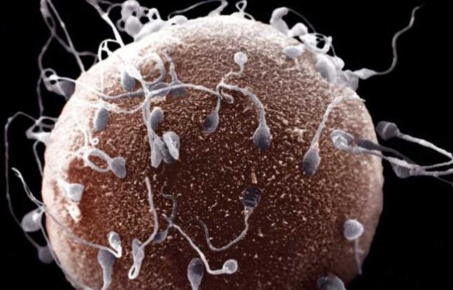 Natural family planning – 3 key methods to predict ovulation Natural family planning - 3 key methods to predict ovulation