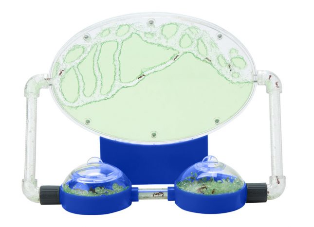 Science and nature toys Science toys for kids