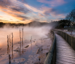 Places to stay in Rotorua - Kiwi Families