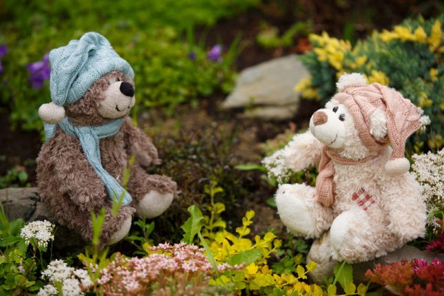 Teddy bears’ picnic Teddy bears picnic