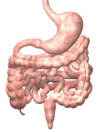All about Gut Dysbiosis