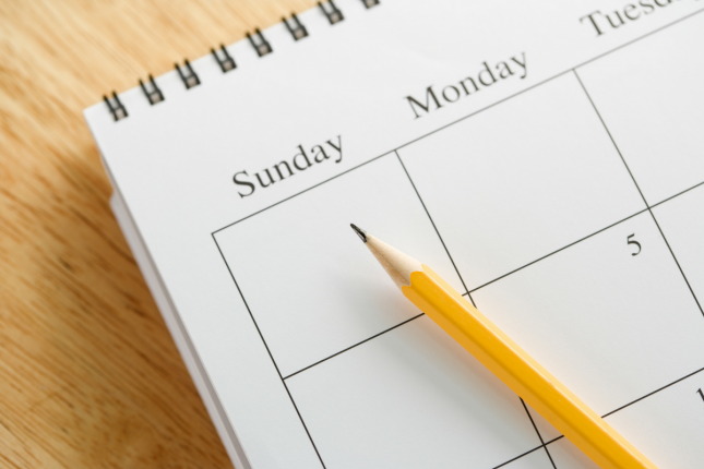 School Holiday Dates 2024 – School Term Dates 2024 New Zealand School Holiday and Term Dates