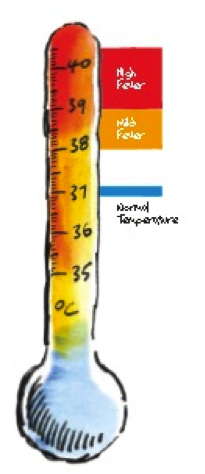 New advice for parents: Treat the child, not the fever fever