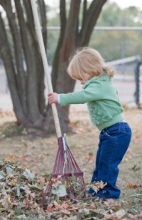 Sustainable activities for the whole family