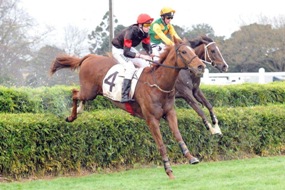 Double passes – Rodd & Gunn Great Northern Day at Ellerslie Ellerslie Rodd Gun