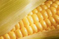 corn