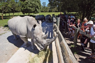 Orana Wildlife Park family passes Orana Wildlife Park competition