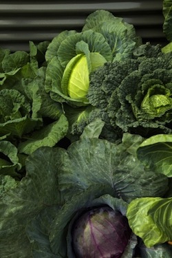 Fighting coughs and colds in winter Healthy families