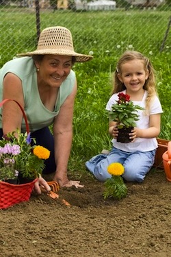 Gardening with grandparents Getting gardening