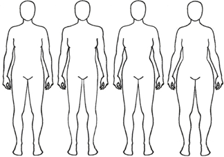 body shapes