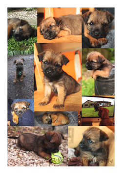 Isaac – the story of the new addition to our family A new addition