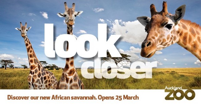 Family pass – Auckland Zoo’s African savannah development