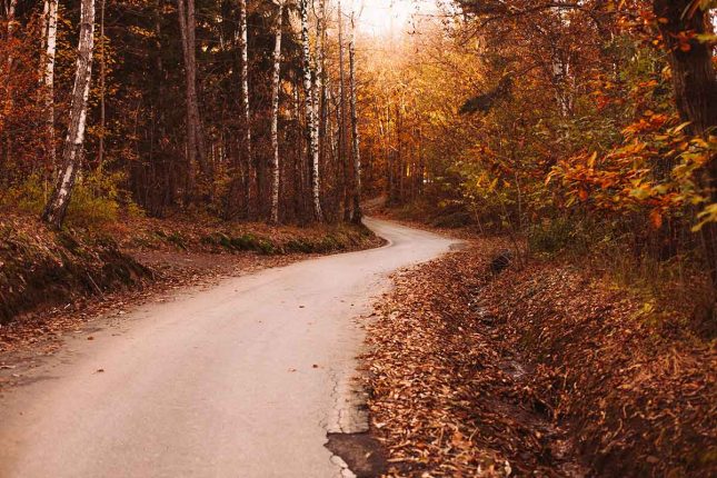 warming-the-path