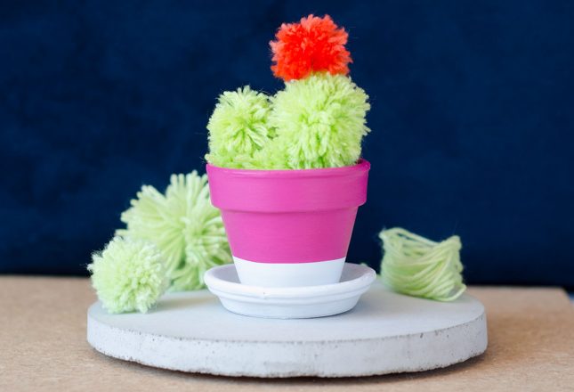 How to make a pompom cactus pompom_cuctus_diy