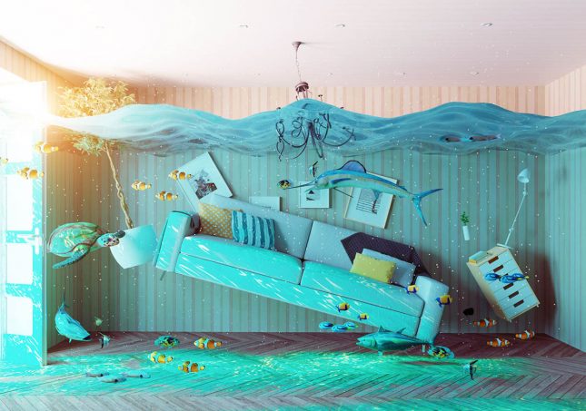 Preparing home alone Teens for a crisis preparing-home-alone-teens-for-a-crisis