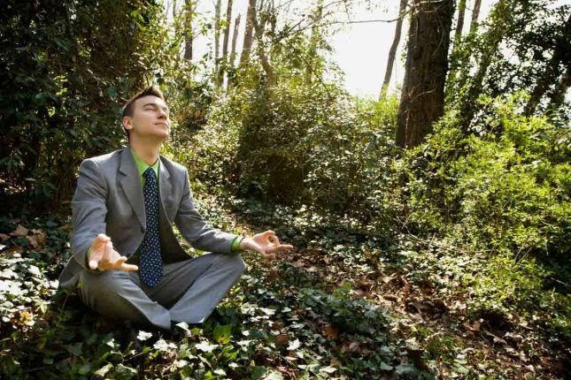 How your stress affects your kids: The hierarchy of wellness How your stress affects your child