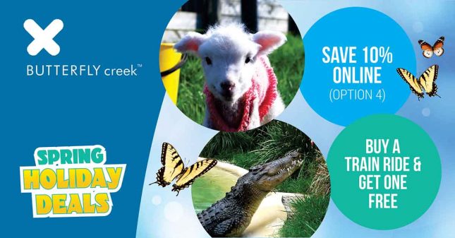 Win a family pass to Butterfly Creek butterfly creek