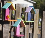 Bright and colourful bird feeders project