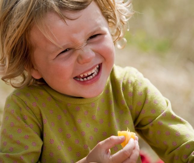 Tips for Surviving the Holidays with a Picky Eater