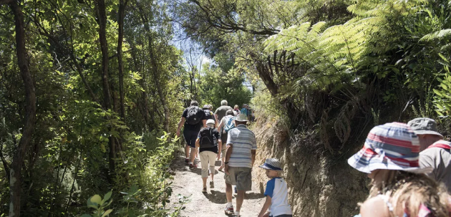 Things to do in Marlborough with kids