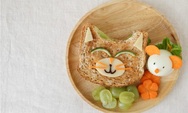 5 Strategies for When Your Child Won’t Eat Dinner Strategies for When Your Child Won't Eat Dinner