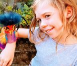 Toilet roll craft- how to make a pet parrot