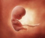 10 weeks pregnant