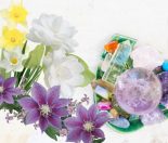 birthstones and birth flowers - All year
