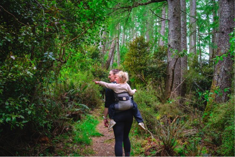 Best Auckland Day Walks